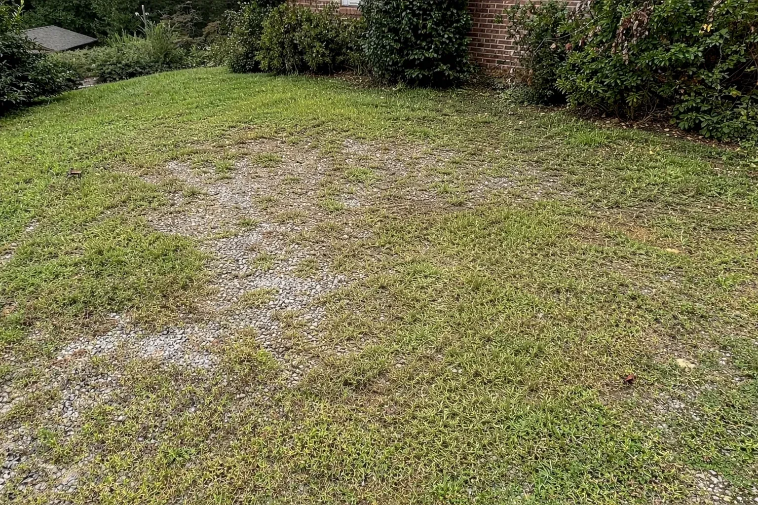 After view of a clean and clear open grass lawn following professional garden clearance and rubbish removal service