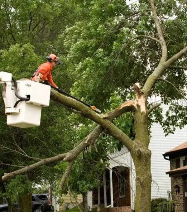 Private debris removal service in progress with cleanup equipment